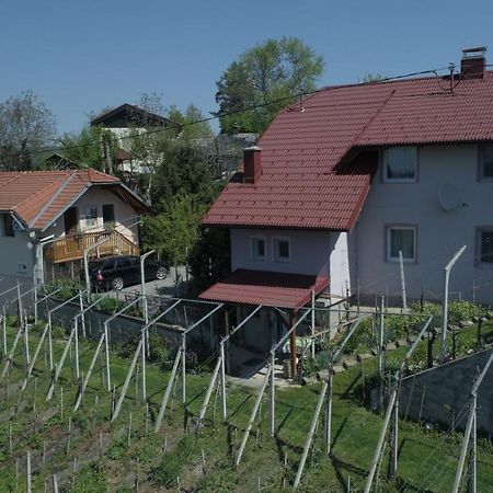 Apartment House Sumrak Bizeljsko エクステリア 写真