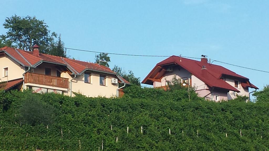 Apartment House Sumrak Bizeljsko エクステリア 写真